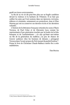 Invisible Voronca