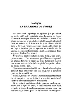 Comment Milos C. est entré dans ma boîte à lettres