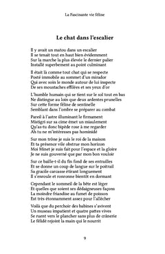 La fascinante vie féline