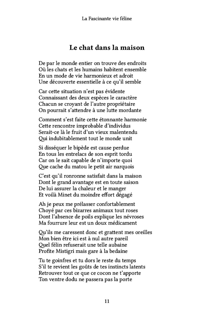 La fascinante vie féline