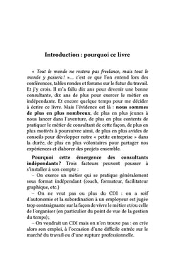Consultants Indépendants : L'aventure pour métier