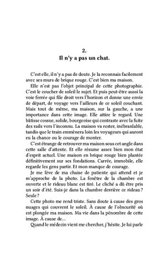 Langue aux chats