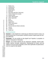 Anatomie et physiologie en fiches pour les étudiants en IFSI