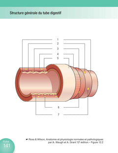 Anatomie et physiologie en fiches pour les étudiants en IFSI