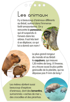 Minimiki - Carnet créatif  - Isabela au Brésil nouvelle édition 2025