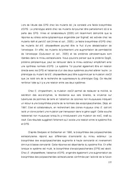 Impact des mutations OPG chez erwinia chrysanthemi