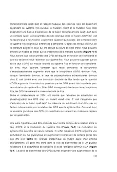 Impact des mutations OPG chez erwinia chrysanthemi