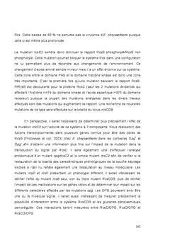 Impact des mutations OPG chez erwinia chrysanthemi