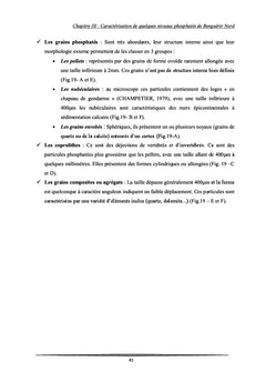 Etude geologique et geominiere du panneau 7 de gisement de Benguerir