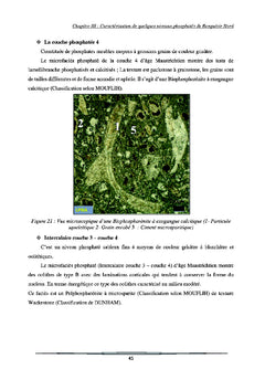 Etude geologique et geominiere du panneau 7 de gisement de Benguerir