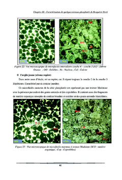 Etude geologique et geominiere du panneau 7 de gisement de Benguerir