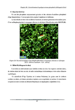 Etude geologique et geominiere du panneau 7 de gisement de Benguerir