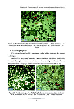 Etude geologique et geominiere du panneau 7 de gisement de Benguerir