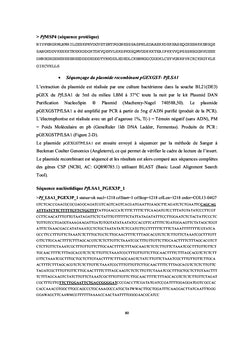 Le paludisme A Madagascar