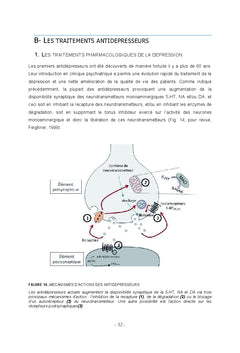 Modulation astrocytaire de l'effet antidepresseur de la DBS