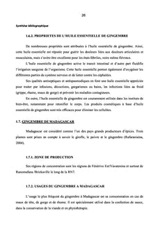 Gingembre et Actinomycètes associés