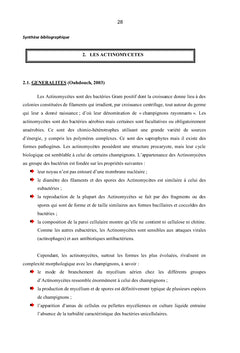 Gingembre et Actinomycètes associés