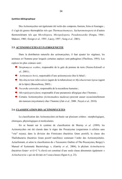 Gingembre et Actinomycètes associés