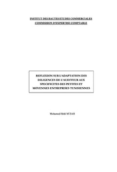 Réflexion sur l'adaptation des normes internationales d'audit aux PME