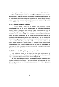 Diversité des agroforêts à cacaoyers au Centre de la Côte d'Ivoire