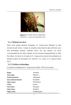 Bioefficacité d'extrait de la rue sur Culiseta longiareolata