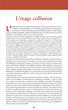 Découvrir la flore des Pyrénées