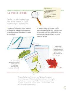 L'herbier des feuilles
