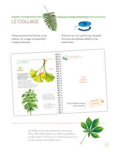 L'herbier des feuilles