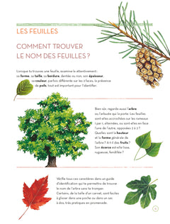 L'herbier des feuilles