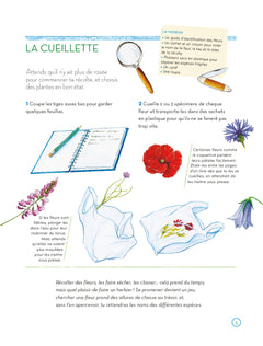 L'herbier des fleurs