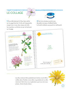 L'herbier des fleurs