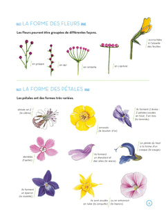 L'herbier des fleurs