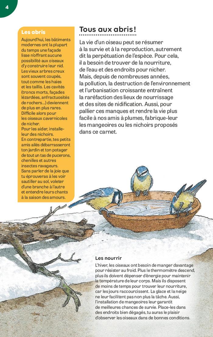 Nichoirs et mangeoires