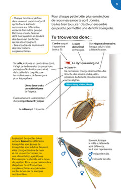Petites bêtes des rivières et des étangs