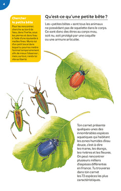 Petites bêtes des rivières et des étangs