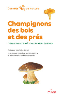 Champignons des bois et des prés