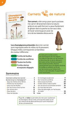 Champignons des bois et des prés
