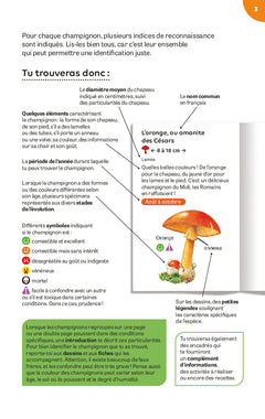 Champignons des bois et des prés