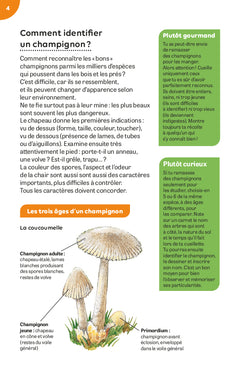 Champignons des bois et des prés