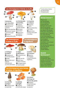 Champignons des bois et des prés