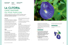 Pouvoirs et sagesse des plantes