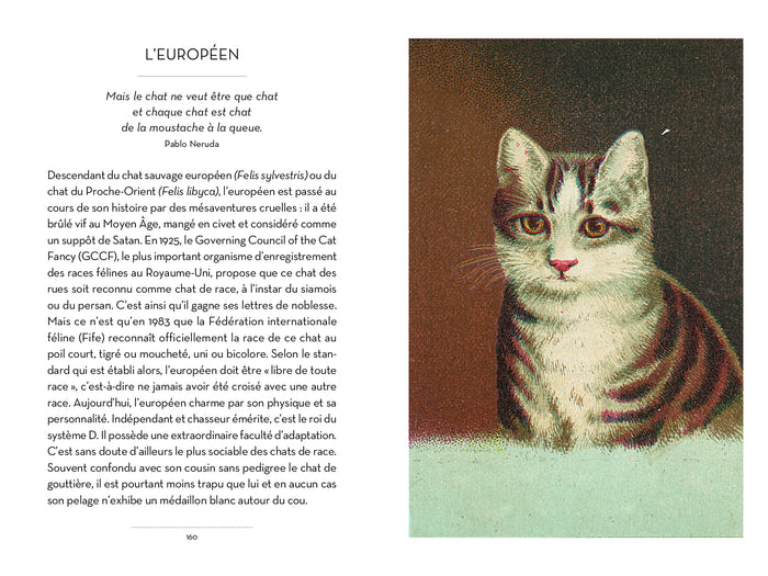 Le petit livre des chats