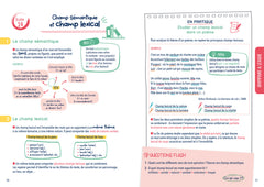 Mon brevet français en studyfiches - 3e - Brevet 2026
