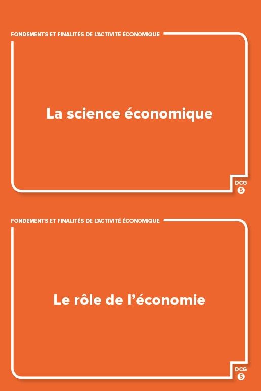 DCG 5 - Économie contemporaine - révisez en 180 flashcards !