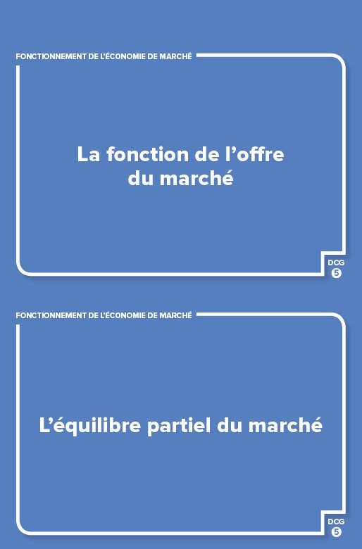 DCG 5 - Économie contemporaine - révisez en 180 flashcards !
