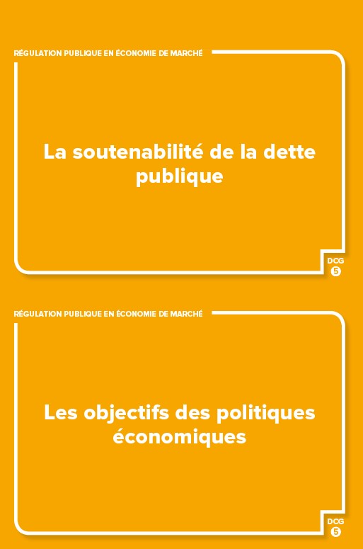 DCG 5 - Économie contemporaine - révisez en 180 flashcards !