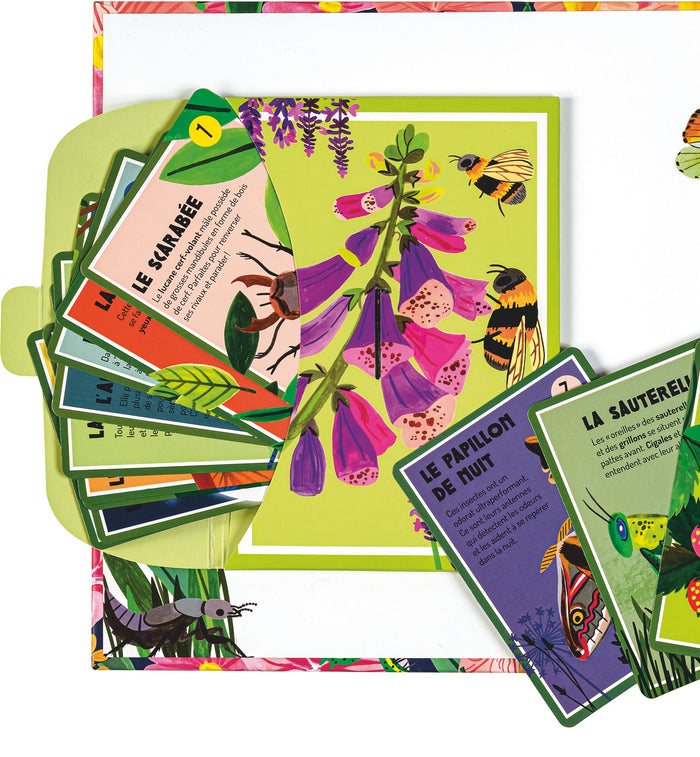 A la découverte des p'tites bêtes - Un livre pop-up