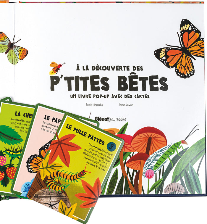 A la découverte des p'tites bêtes - Un livre pop-up