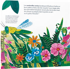 A la découverte des p'tites bêtes - Un livre pop-up