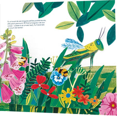 A la découverte des p'tites bêtes - Un livre pop-up